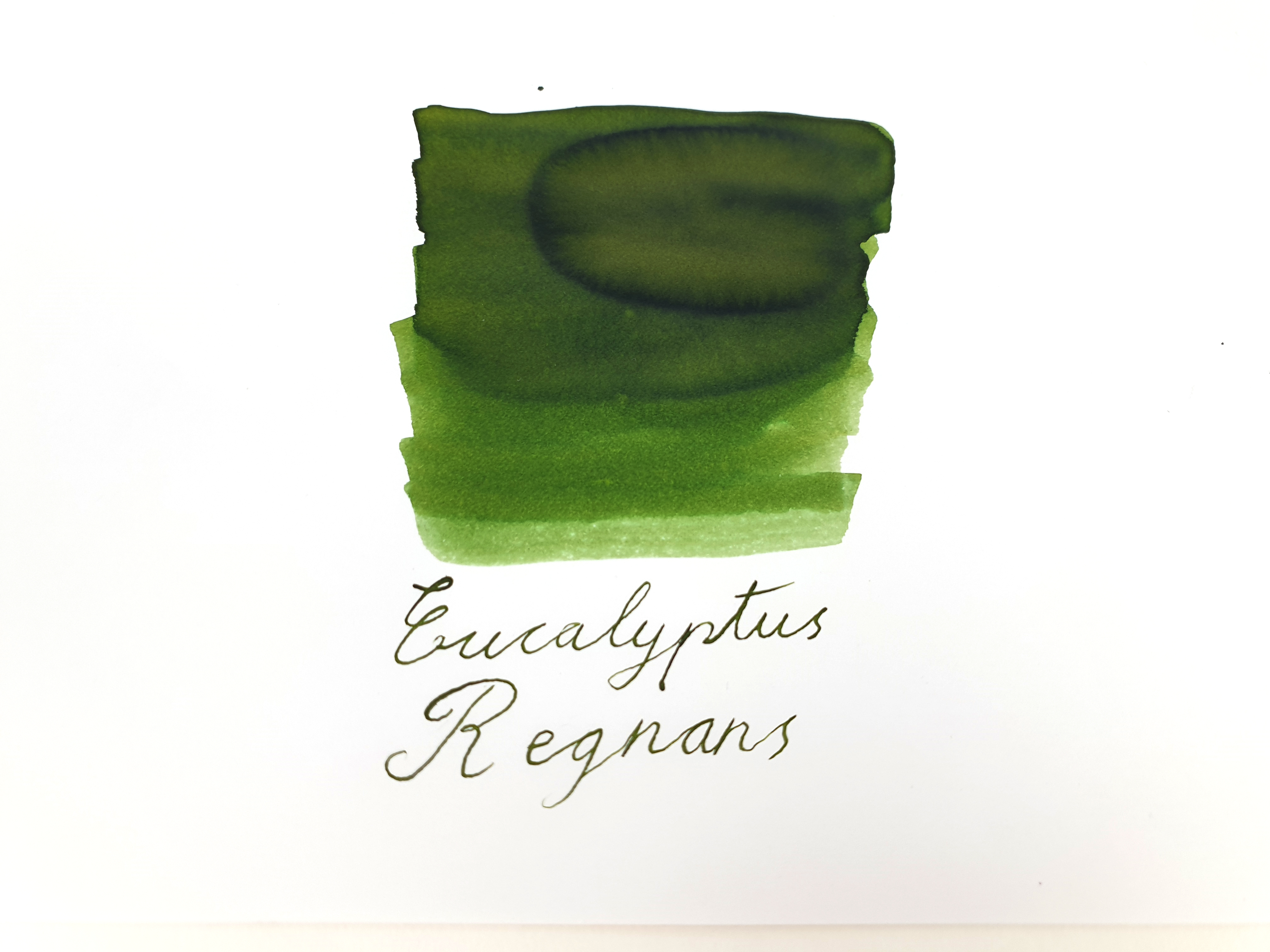 Van Dieman's Wilderness - Eucalyptus Regnans 30ml Tintenflasche