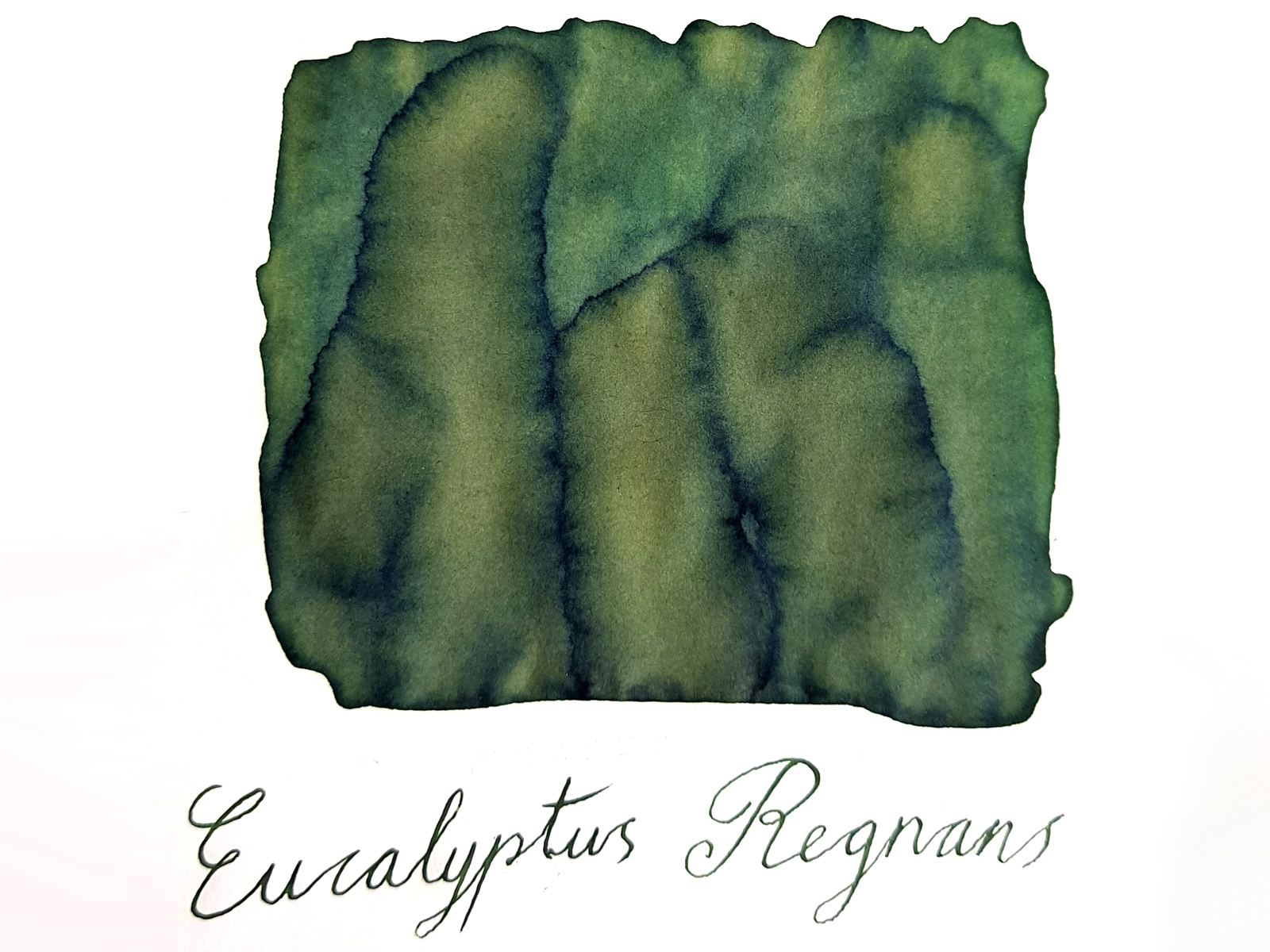 Van Dieman's Wilderness - Eucalyptus Regnans 30ml Tintenflasche