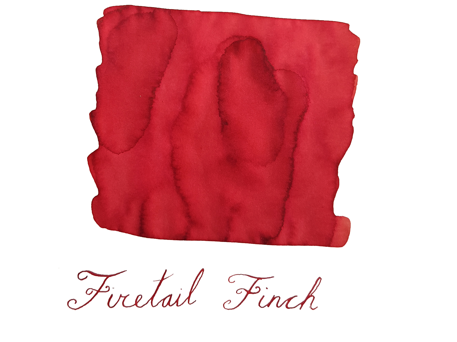 Van Dieman's Wilderness - Firetail Finch 30ml Frasco de tinta