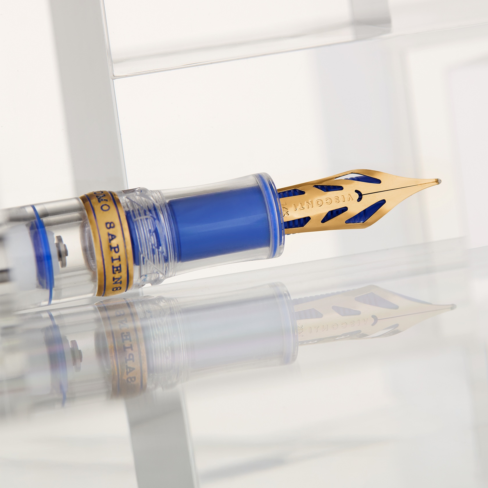 Visconti Homo Sapiens Full Demo LE Fountain pen