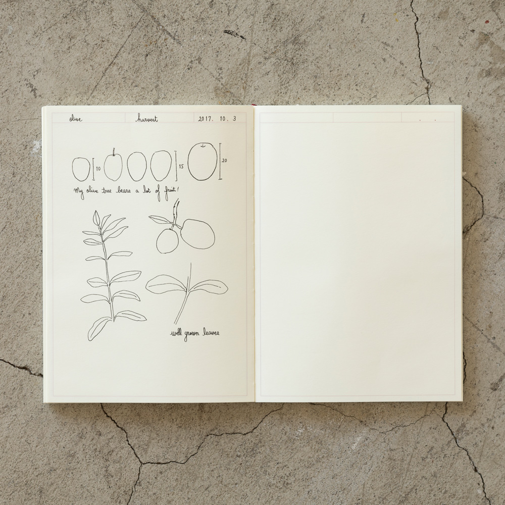Midori MD Diario de papel A5 Cuaderno con marco