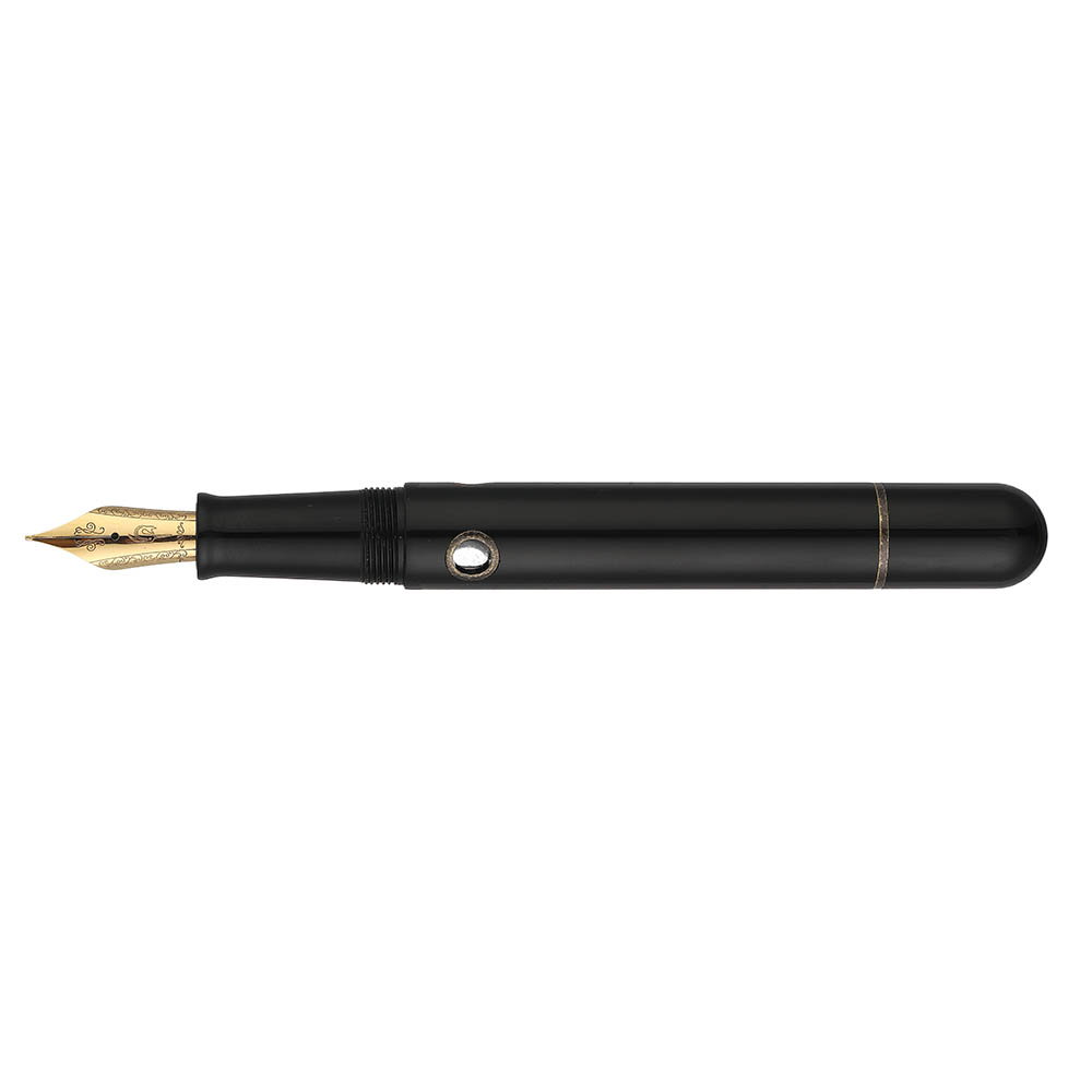 Nahvalur Nautilus Bronze Corydoras GT Fountain Pen