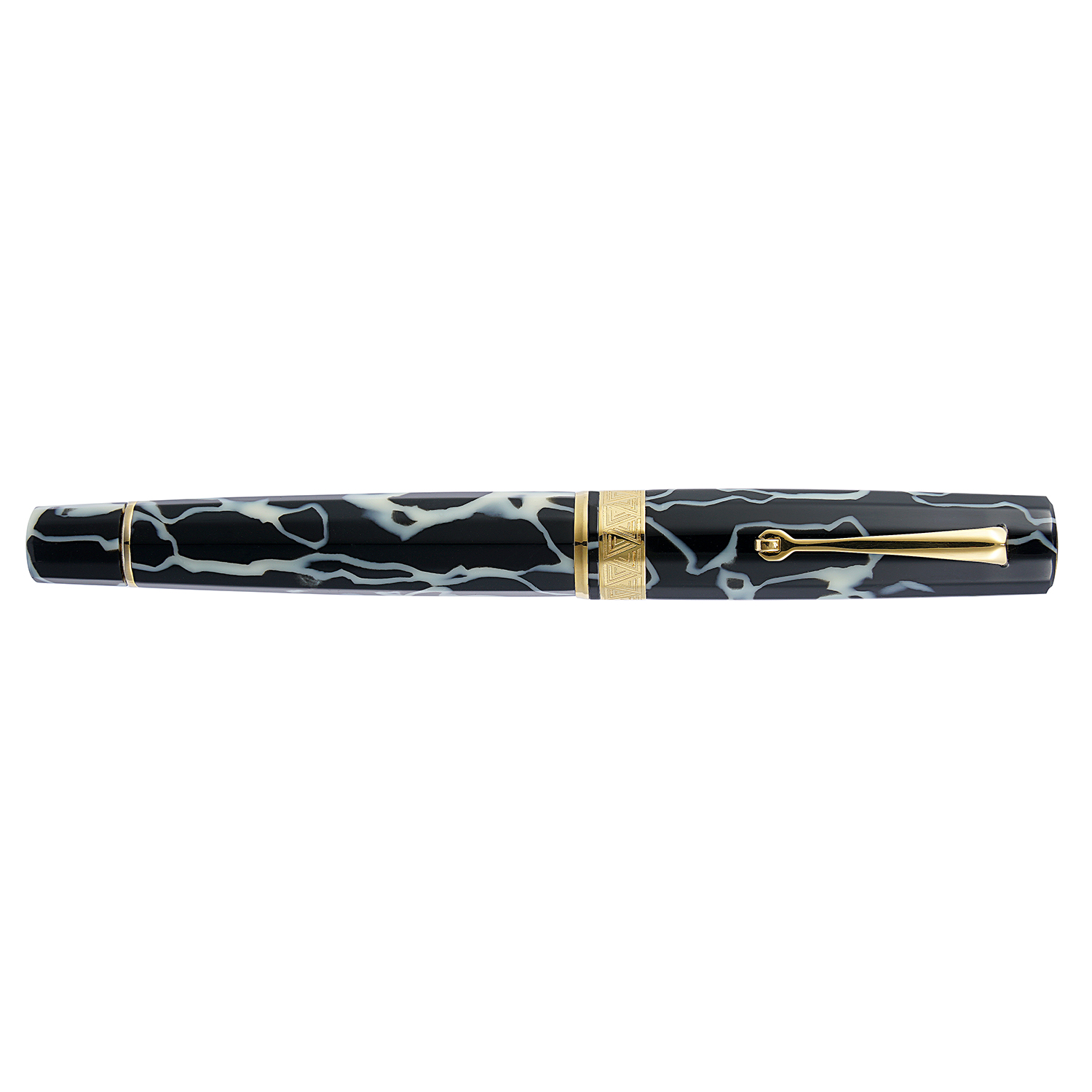 Omas Paragon Wild GT Fountain pen