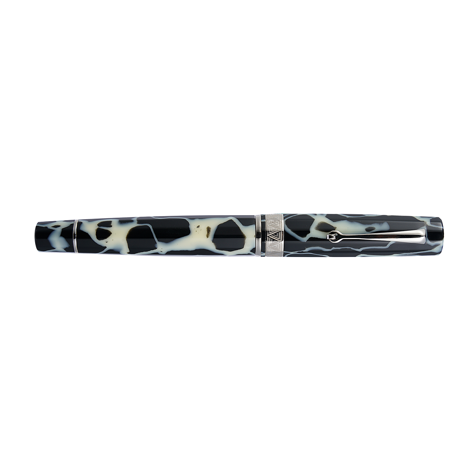 Omas Paragon Wild ST Fountain pen